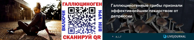 Псилоцибиновые грибы MAGIC MUSHROOMS  Купить закладки  Мамадыш 